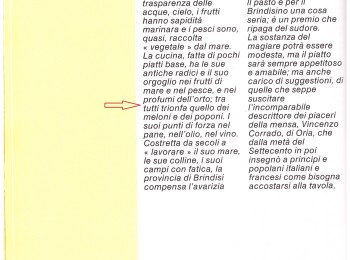 Figura 1 – I meloni nella terra di Brindisi. Fonte: AA.VV. (1990).