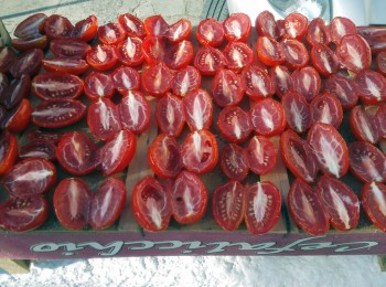 Figura 1 - Preparazione dei pomodori secchi al sole, inizio del processo di essiccamento.